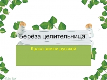 Исследовательский проект - презенация