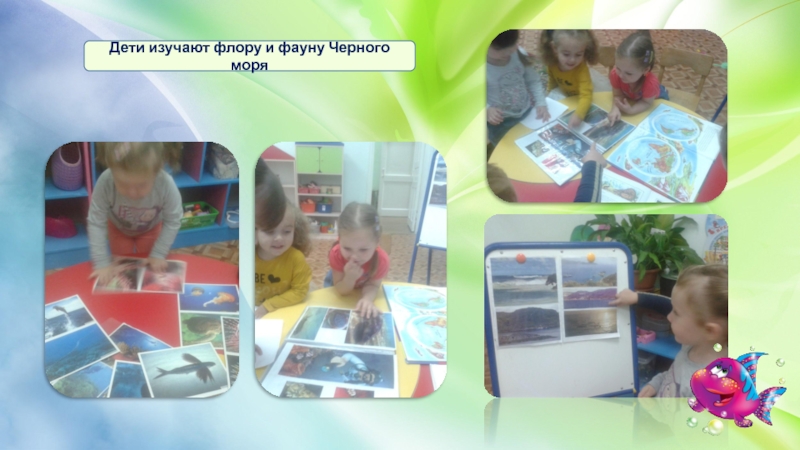 Дети изучают флору и фауну Черного моря