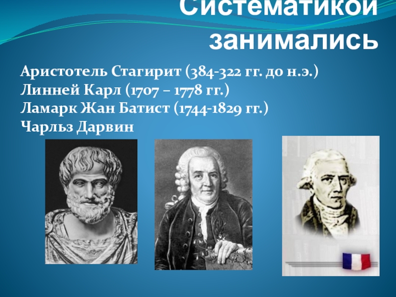 Эволюционное учение ученые. Линней Ламарк Дарвин. Линней и Ламарк. Аристотель Линней Ламарк.