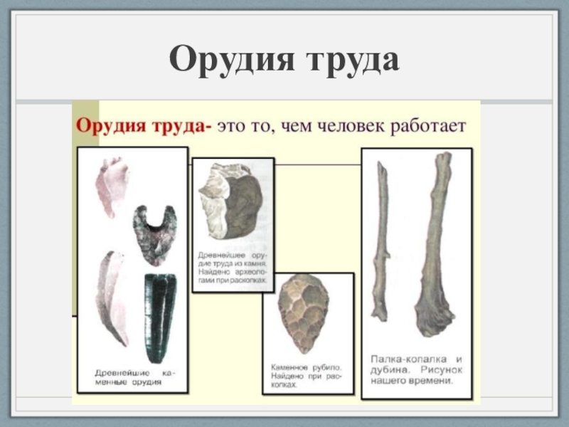 Назовите орудие труда. Орудия труда первобытного человека 5 класс рисунок. Орудия труда древнего человека. История орудий труда. Древние орудия труда названия.