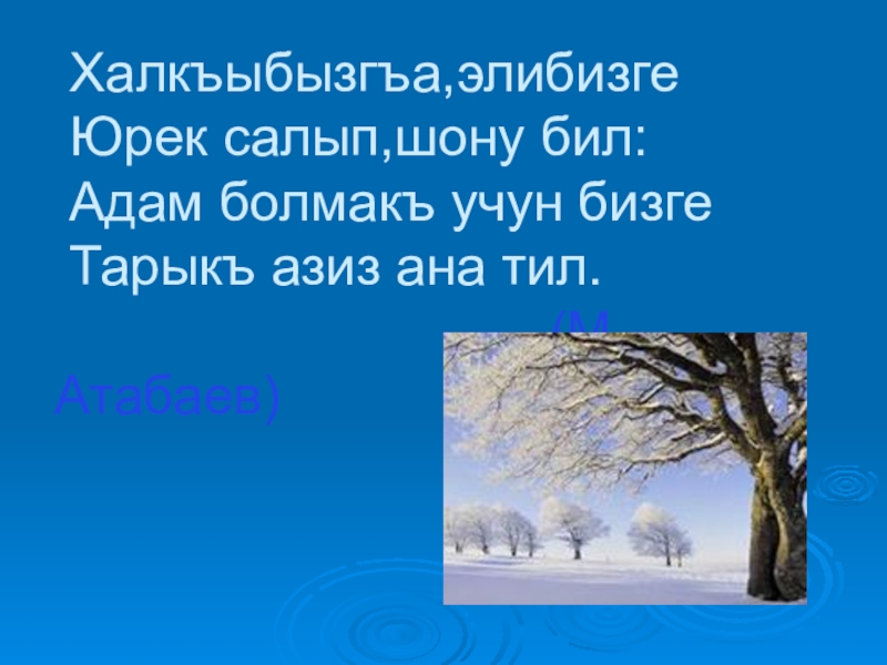 Анам стих. Стихи на кумыкском языке про родной язык. Стихотворение на родном языке Кумыкский. Кумыкские стихи про родной язык. Сочинение на кумыкском языке ана.