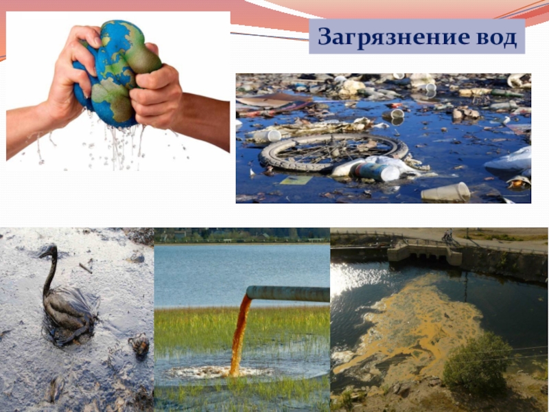 Исследовательский проект загрязнение воды