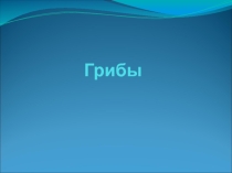 Презентация Грибы. Питание грибов.