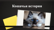 истории о кошках
