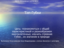 Презентация по теме Тип Губки