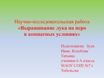 Презентация ТЕМА: Выращивание лука на зелень в домашних условиях.