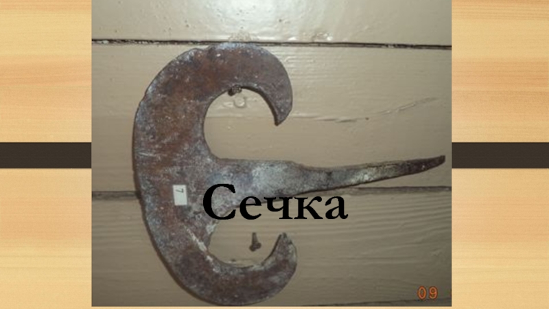 Презентация Экскурсионная разработка Орудия труда крестьянки Сечка Сечка