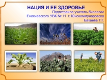 Презентация к уроку Нация и её здоровье