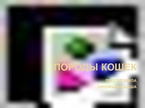 Презентация по познавательному развитию