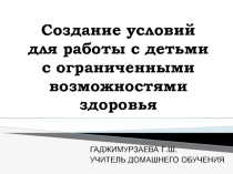 Презентация к докладу Создание условий для работы с детьми с ограниченными возможностями здоровья