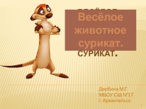 Презентация Весёлое животное сурикат