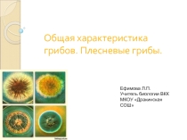 Презентация Общая характеристика грибов.Плесневые грибы