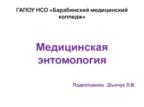 Презентация по биологии на тему Медицинская энтомология
