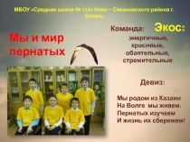 Презентация по биологии на тему Мы и мир пернатых
