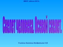 Презентация по теме: Скелет человека