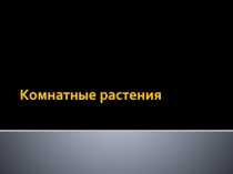 Презентация по теме Комнатные растения к курсу Цветоводство