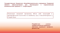 Реализация авторской программы Сам себе модельер в предпрофильной подготовке детей с ОВЗ по швейному делу в 9 классе.