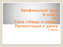 Презентация. Профильный труд 6 класс. ОВЗ. Овцы и козы 1 часть.