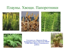 Презентация по биологии на тему Плауны, хвощи, папоротники