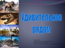 Презентация к материалу Удивительное рядом!