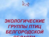 Презентация по биологии на тему Экологические группы птиц Белгородской области. Птицы леса