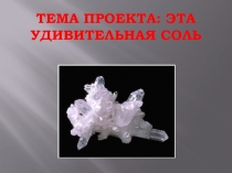 Презентация проекта Эта удивительная соль