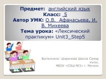 Презентация по английскому языку Лексический и грамматический практикум (5 класс) по учебнику Rainbow English 5 класс, О.В. Афанасьева, И.В. Михеева