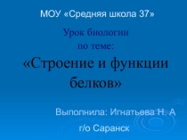 Презентация по биологии на тему: Строение и функции белков (10 класс)