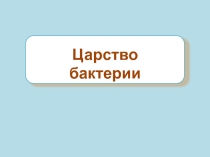 Презентация по биологии на тему Царство бактерии