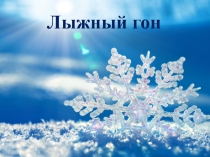 Лыжные гонки