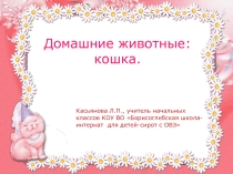 Презентация по уроку развитие устной речи на тему  Домашние животные-кошки