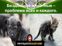 Презентация Бездомные животные - проблема всех и каждого (исследовательская работа)