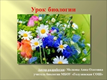 Способы размножения растений