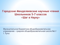 Тульское оружие в 1-ой Мировой войне