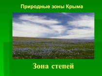 Конспект урока по природоведению Степи Крыма. Раздольненская степь и презентация к уроку