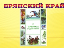 Презентация по курсу Брянский край Происхождение названий месяцев