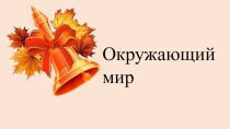 Тема: Времена года. Погода.