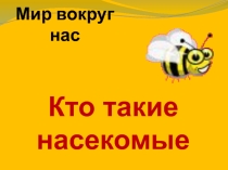 Презентация по окружающему миру Кто такие насекомые