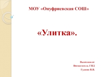 Улитка.
