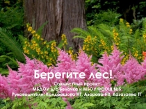 Берегите лес! Совместный проект МБДОУ д/с Белочка и МБОУ ФСОШ №5
