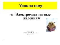 Презентация по физике на тему :  Магнитное поле1