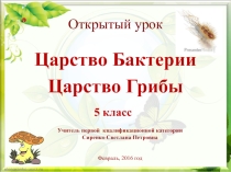 Презентация по биологии на тему Бактерии и грибы (5 класс)