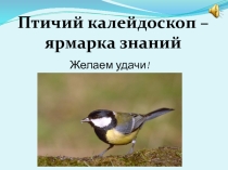 Презентация к обобщающему уроку по теме  Кто ж такие птички?