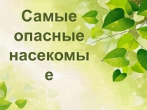 Презентация к уроку окружающего мира Самые опасные насекомые