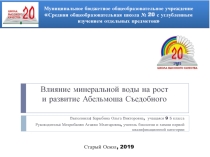 Презентация к проектной работе на тему Влияние минеральной воды на рост и развитие Абельмоша Съедобного