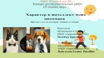 Детская исследовательская работа Кто умнее собаки или кошки Презентация