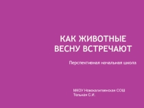 Презентация по окружающему миру Как животные весну встречали