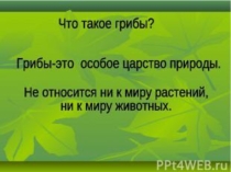 Презентация по окружающему миру на тему: Царство грибы