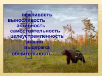 Удивительные животные