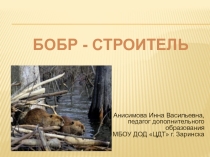 Презентация по биологии БОБР-СТРОИТЕЛЬ